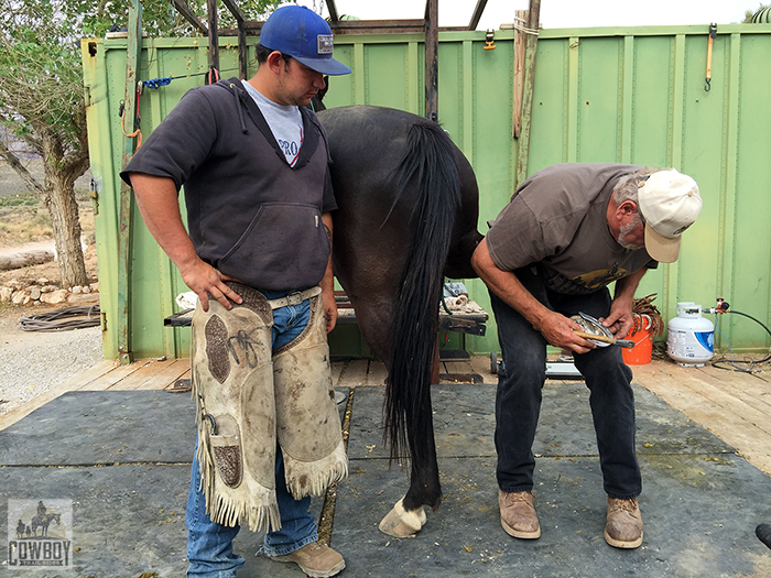 Mikey watching Big Jim shoe a horse before Horseback Riding in Las Vegas at Cowboy Trail Rides in Red Rock Canyon