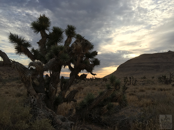 It's either a picture of a sunrise or a sunsettaken while Horseback Riding in Las Vegas at Cowboy Trail Rides in Red Rock Canyon