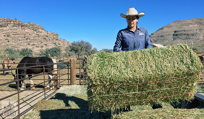 Wrangler Deryn feeds the horses after Horseback Riding in Las Vegas at Cowboy Trail Rides in Red Rock Canyon