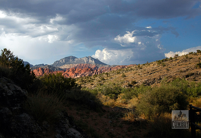 Cowboy Trail Rides - Desert Storm brewing