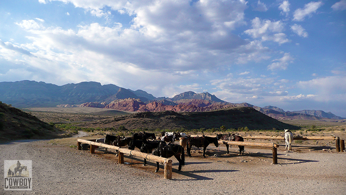 The view from camp back in 2009 at Cowboy Trail Rides