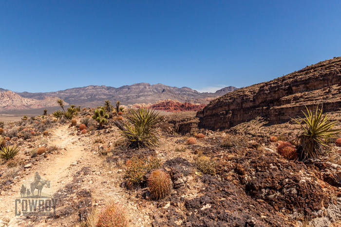 Cowboy Trail Rides - Cactus Garden Trail