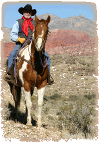 Cowboy on Horse